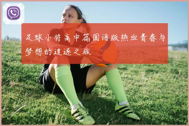 足球小将高中篇国语版热血青春与梦想的追逐之旅