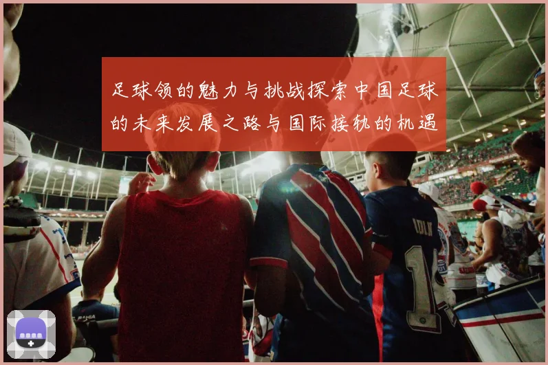 足球领的魅力与挑战探索中国足球的未来发展之路与国际接轨的机遇