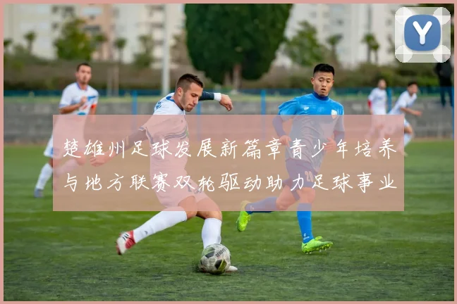 楚雄州足球发展新篇章青少年培养与地方联赛双轮驱动助力足球事业腾飞