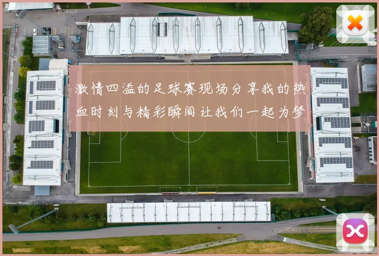 激情四溢的足球赛现场分享我的热血时刻与精彩瞬间让我们一起为梦想呐喊