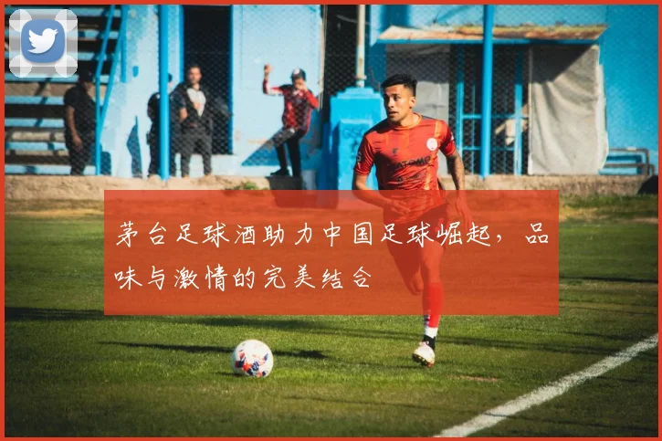 茅台足球酒助力中国足球崛起，品味与激情的完美结合