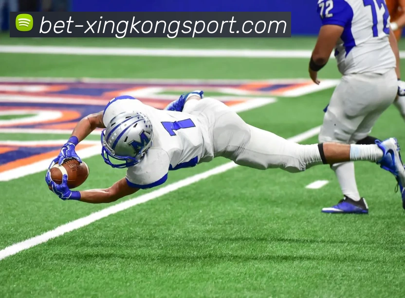 星空体育官网APP 体育赛事宣传图